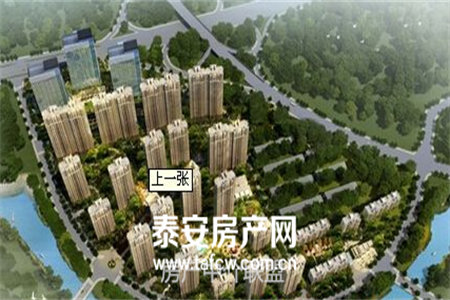 桃林府东小区新房出售1卫86㎡